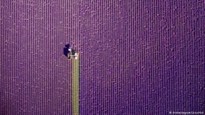 Menikmati Dunia Dari Langit, Inilah Foto Drone Terbaik Di 2017