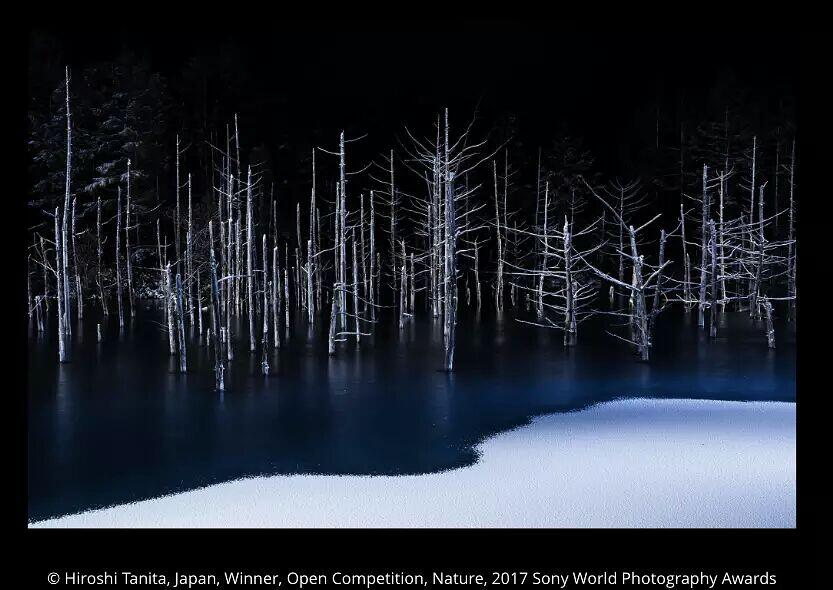 Foto-foto Terbaik dalam Kompetisi Sony World Photography Awards 2017