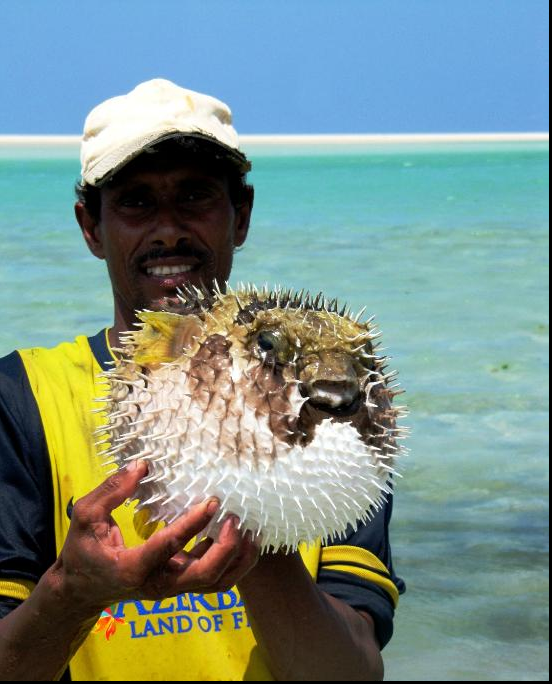 Pulau SOCOTRA, Pulau dengan sebutan penjara Dajjal sekaligus Pulau kebahagiaan.