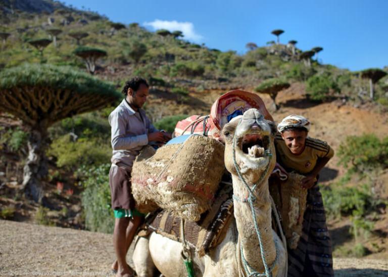 Pulau SOCOTRA, Pulau dengan sebutan penjara Dajjal sekaligus Pulau kebahagiaan.