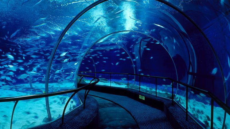 Objek Wisata Yang Bisa Kamu Kunjungi Di Shanghai