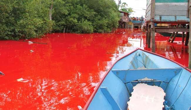 4 Sungai Ini Pernah Berubah Warna dan Beracun