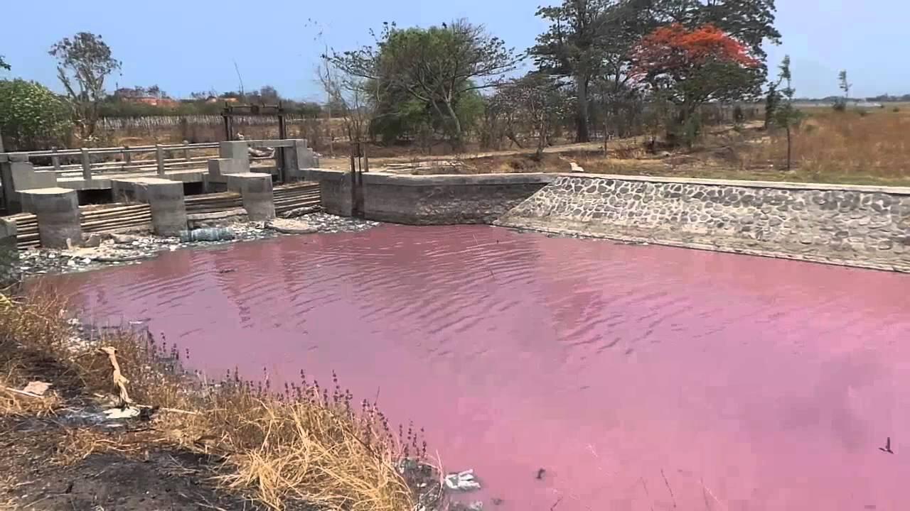 4 Sungai Ini Pernah Berubah Warna dan Beracun