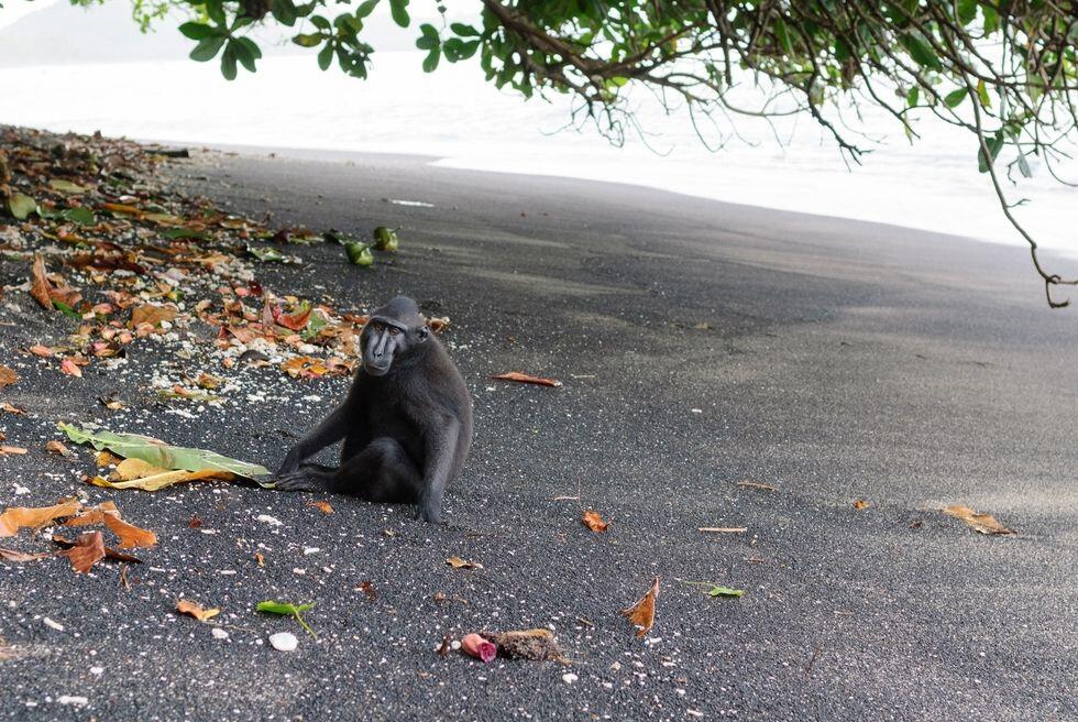 7 Pantai di Indonesia ini Berpasir Hitam yang Eksotis