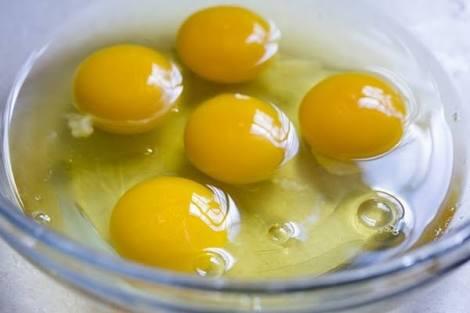 Telur Berfipronil ???