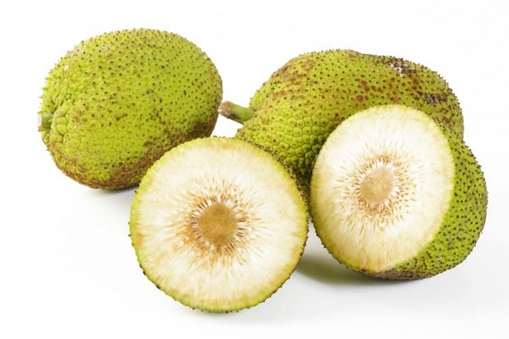 &#91;ASK&#93; Kebun Sukun di Indonesia