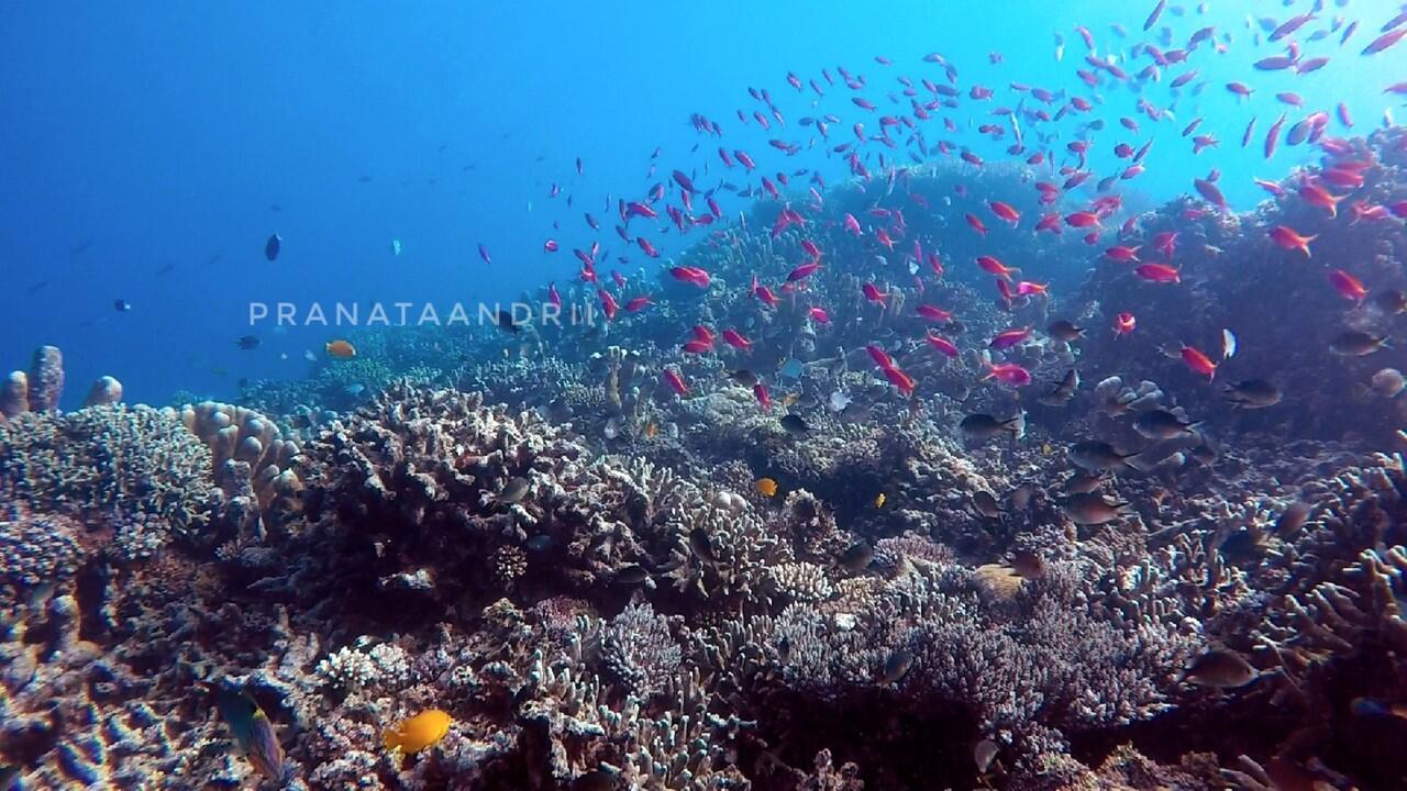 Cerita Perjalanan di Gorontalo, April 2017