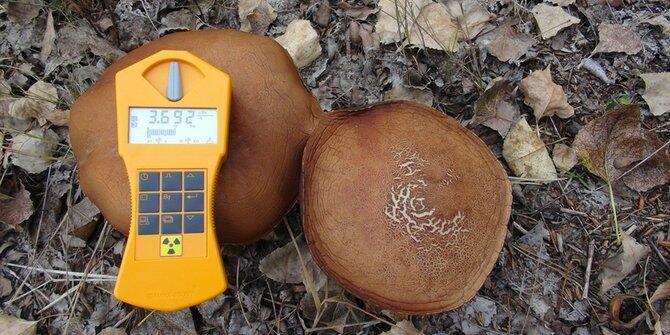 6 Misteri mencengangkan tentang nuklir yang cekam umat manusia