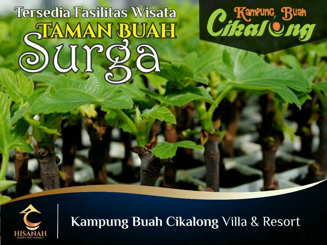 Destinasi Wisata AGRO Ini Siap Terkenal, Kampung Buah Cikalong (KBC) Villa & Resort