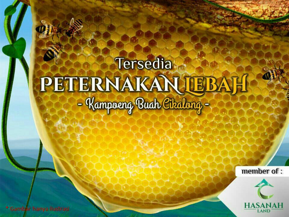 Destinasi Wisata AGRO Ini Siap Terkenal, Kampung Buah Cikalong (KBC) Villa & Resort