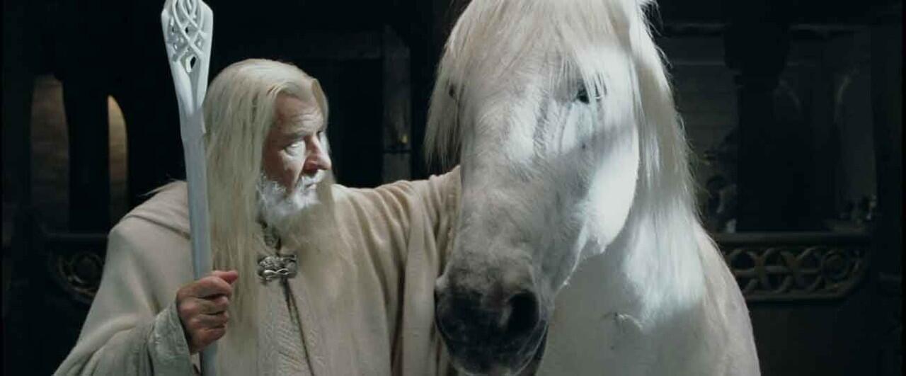 Binatang - Binatang Fiksi Lord Of The Ring, Masuk Gan !!