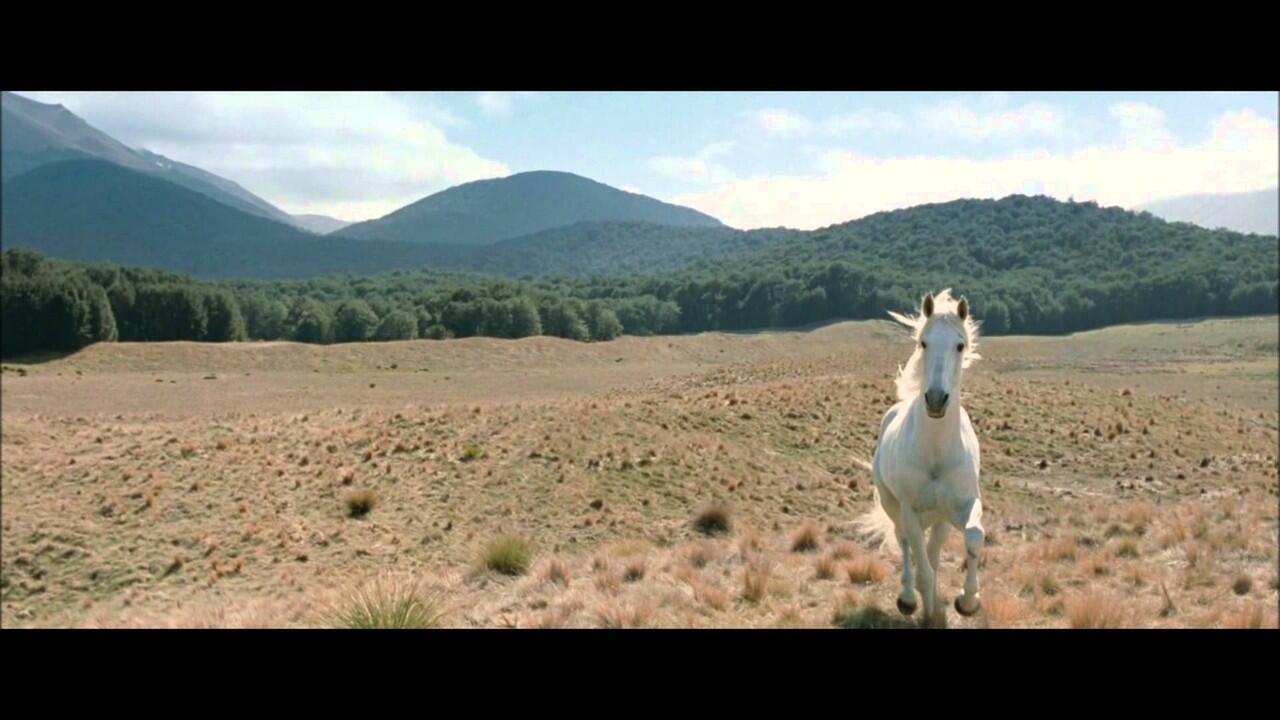 Binatang - Binatang Fiksi Lord Of The Ring, Masuk Gan !!