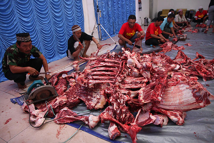 Halal Center UGM: Jangan Sampai Daging Kurban Jadi Haram | KASKUS