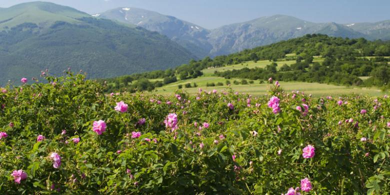 MENARIKNYA WISATA DI BULGARIA