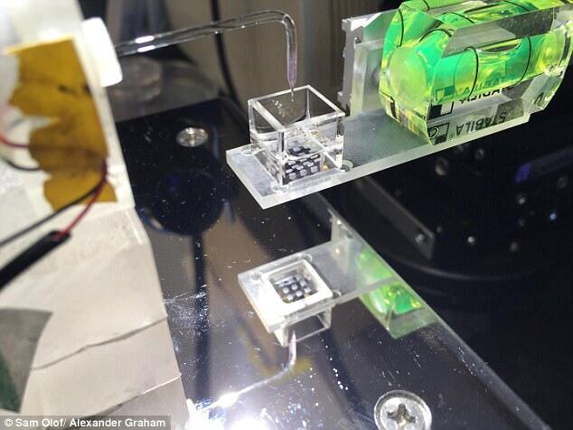 Ilmuwan Kembangkan Printer 3D Untuk Tumbuhkan Kembali Bagian Tubuh Yang Rusak