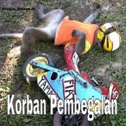 SAAT DUNIA MANUSIA DI GANTIKAN HEWAN