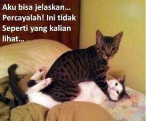 SAAT DUNIA MANUSIA DI GANTIKAN HEWAN