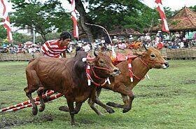 6 Suku Bangsa Terbesar di Indonesia