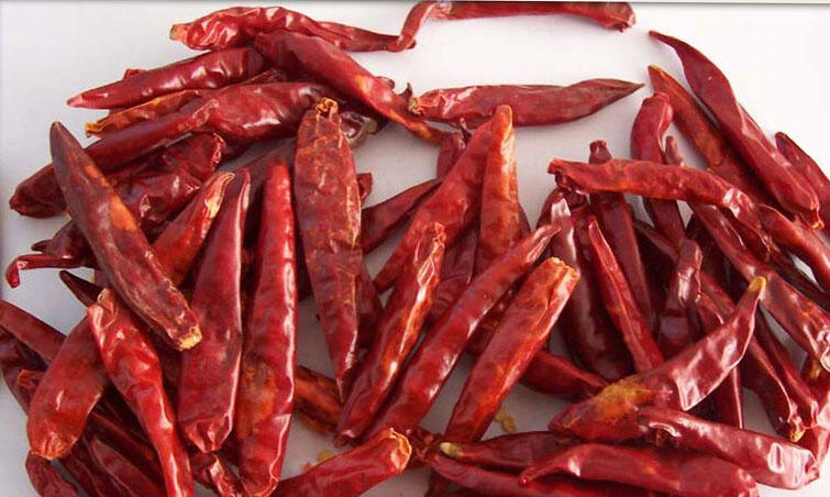 CABE KERING ALTERNATIF DISAAT CABE SEGAR MAHAL