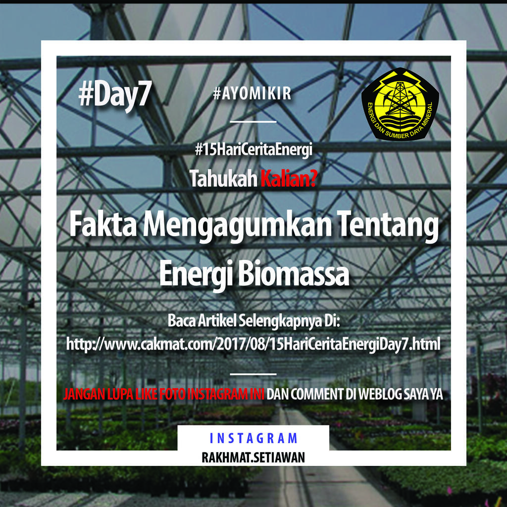 Fakta Mengagumkan Tentang Energi Biomassa!