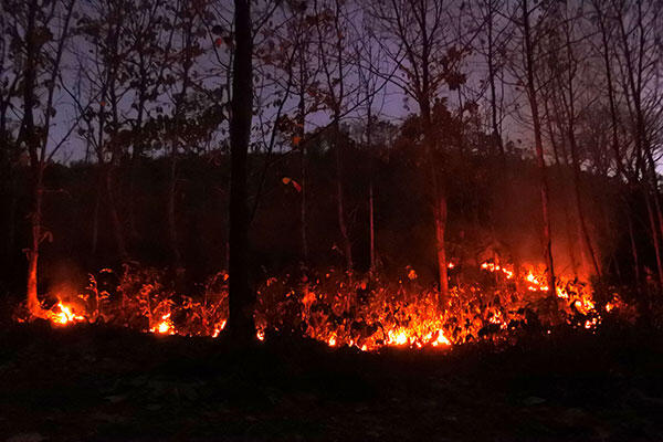 Kapolri Prioritaskan Penanganan Karhutla di 9 Polda