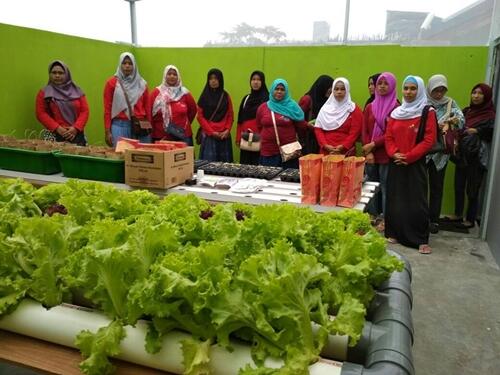 &#91;FR&#93; Bulan Darah Regional Banyumas dan Launching Kebun Hidroponik