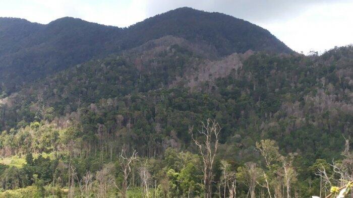 Ini Pantangan dan Mitos Bagi Pendaki Bukit Maras  KASKUS