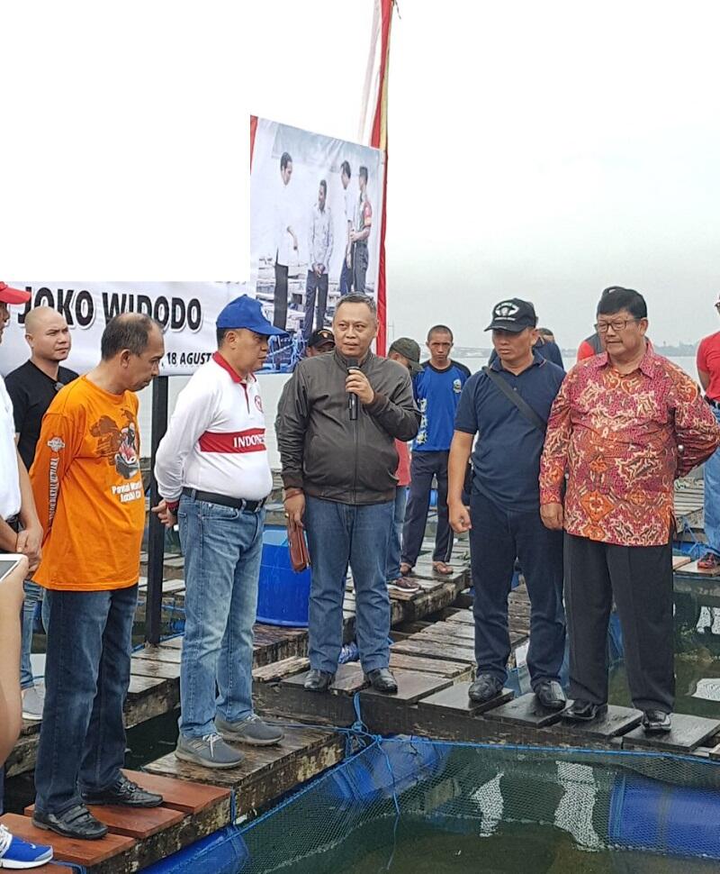 Luar Biasa! Ribuan Ekor Ikan yang Ditebar Jokowi Tak Satupun Mati