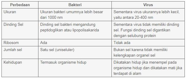 Membedakan Demam Karena Infeksi Virus atau Bakteri