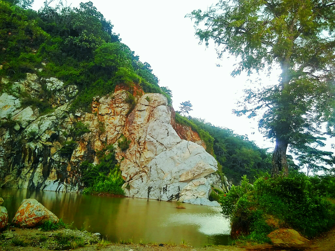 Panorama