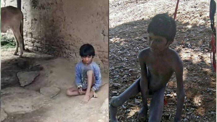 Kasihan, Bocah Alami Ganguan Mental Ini Diikat di Kandang Bareng Sapi