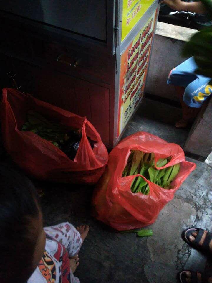 FENOMENA exploitasi anak penjual genjer