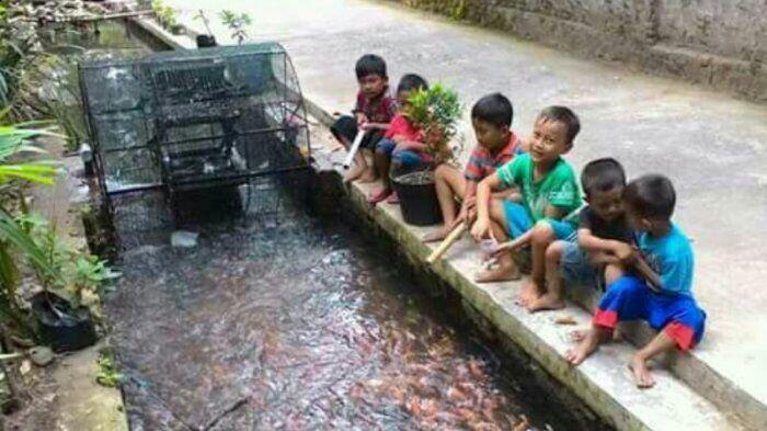 Keren ! Tak Cuma Bersih, Sungai di Imogiri Ini Juga Penuh Ikan Lho