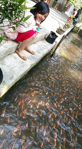 Keren ! Tak Cuma Bersih, Sungai di Imogiri Ini Juga Penuh Ikan Lho