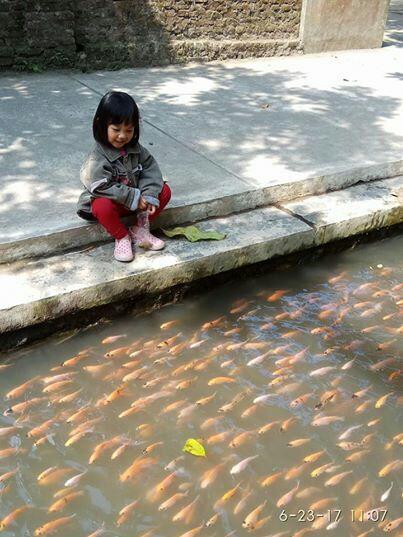 Keren ! Tak Cuma Bersih, Sungai di Imogiri Ini Juga Penuh Ikan Lho