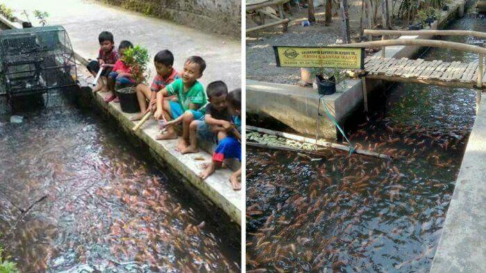 Keren ! Tak Cuma Bersih, Sungai di Imogiri Ini Juga Penuh Ikan Lho