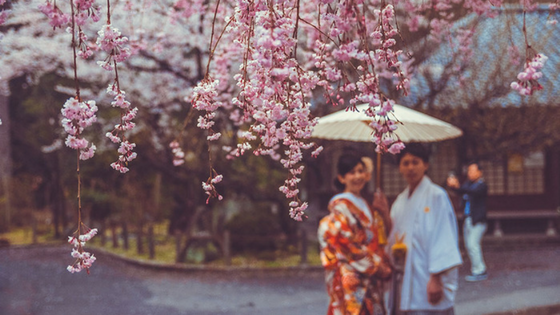 7 Hal Menarik Yang Cuma Ada di Jepang!
