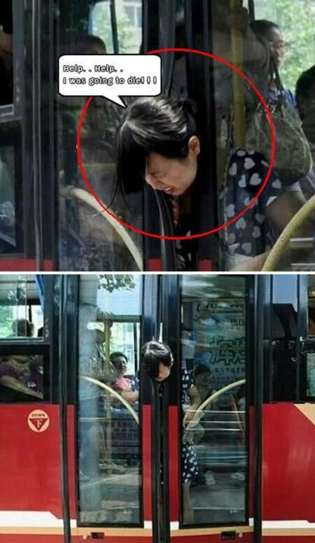 11 Kejadian Apes Yang Di jamin Bakalan Bikin Agan Ngakak
