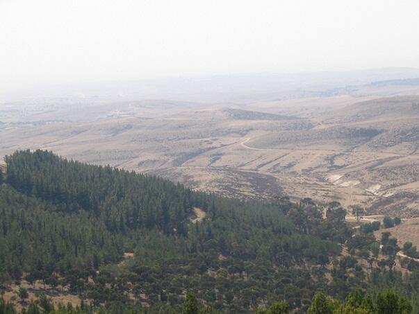 Cara Israel Menanam Tanaman Pertanian di Lahan Super Kekeringan dan Tandus