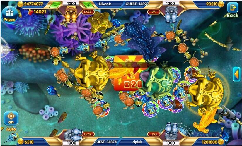 Berbagi Cerita Tentang Crazy Fish Mobile - Game Gila Yang Bagi Hadiah ...