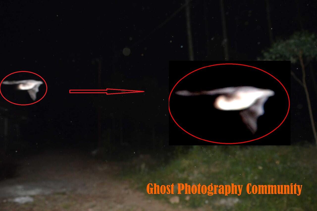 Ghost Photography Community