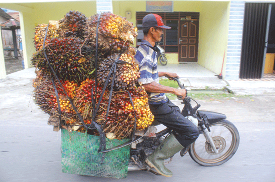 SHARING BISNIS VARIASI MOTOR - BAB: KNALPOT MOTOR - PELUANG BISNIS 