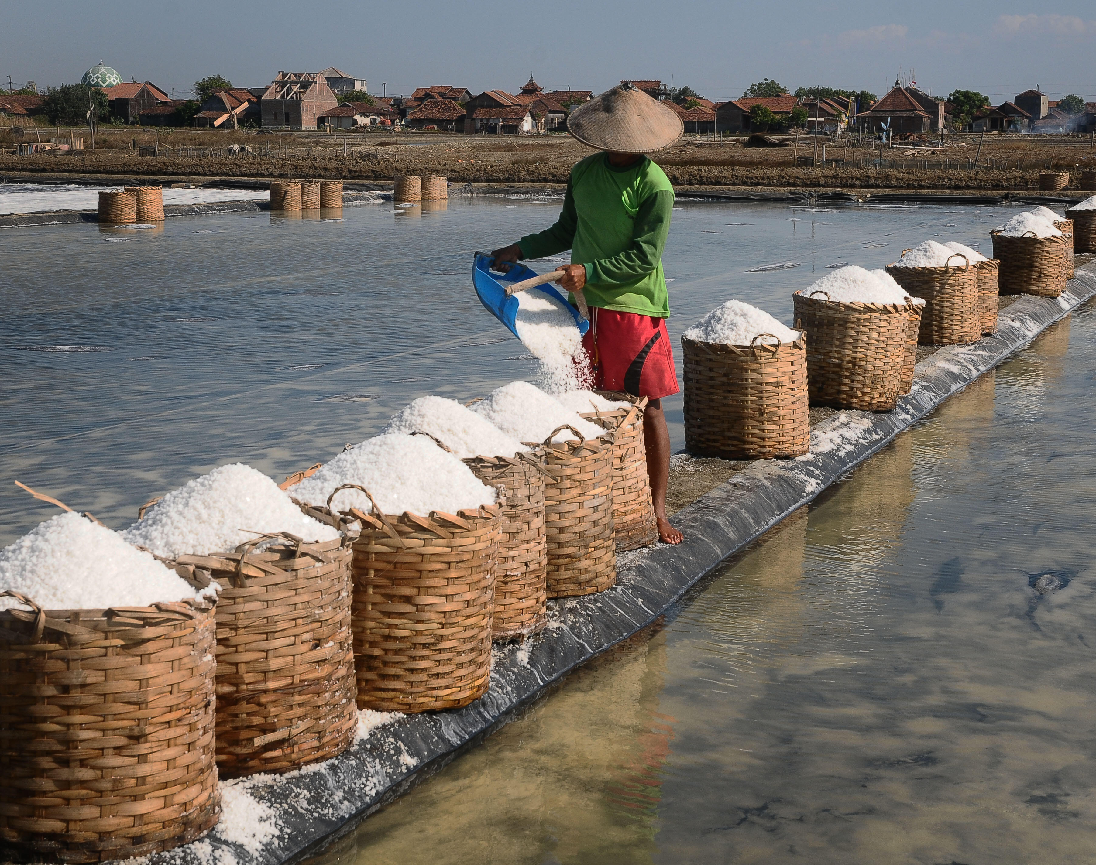 Penambak Garam Buleleng Bergembira Musim Kemarau Tiba