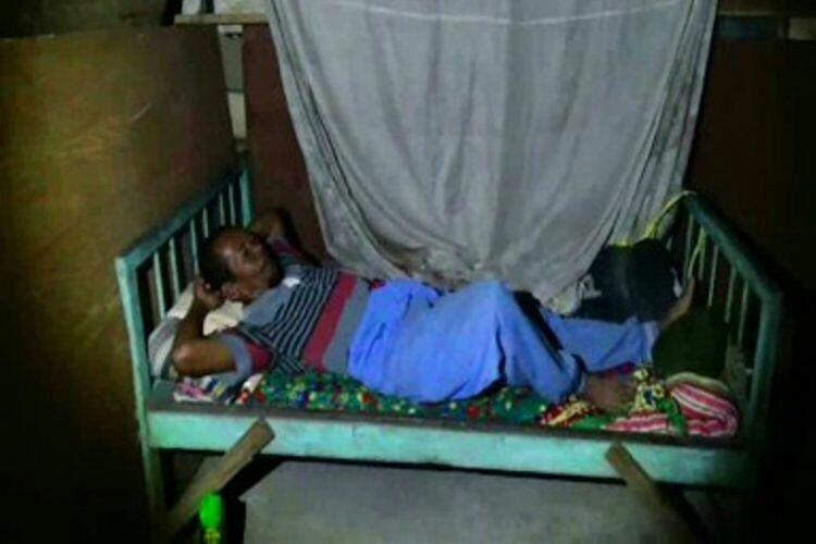 Saeman Rela Tidur Di Kandang Demi Jaga Sapi Milik Presiden Jokowi 
