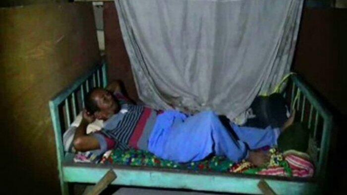 Saeman Rela Tidur di Kandang Demi Jaga Sapi Milik Presiden Jokowi