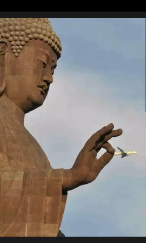 Moment sebuah foto yang pas menghasilkan karya yang unik.
