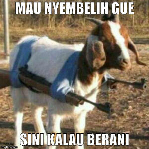 Meme Hewan Kurban Yang Sedang Ramai Di Sosmed