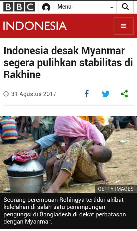 Indonesia desak Myanmar segera pulihkan stabilitas di Rakhine