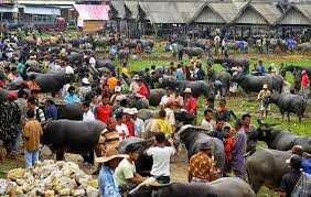 KUBURAN TANA TORAJA - Sulawesi Selatan , Indonesia