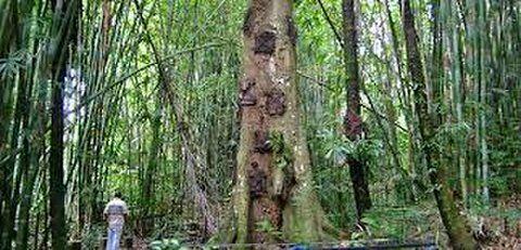 KUBURAN TANA TORAJA - Sulawesi Selatan , Indonesia